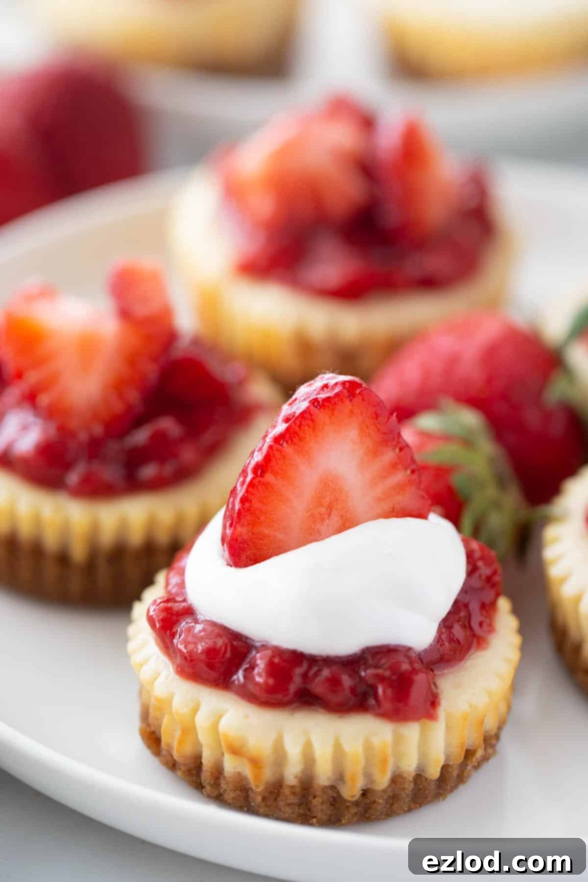 Close up photo of mini cheesecake with toppings.