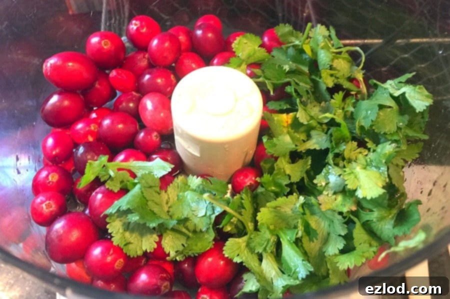 Whole Cranberry Salsa ingredients in the food processor 