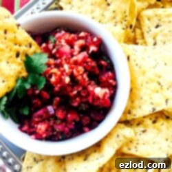 Cranberry Holiday Salsa