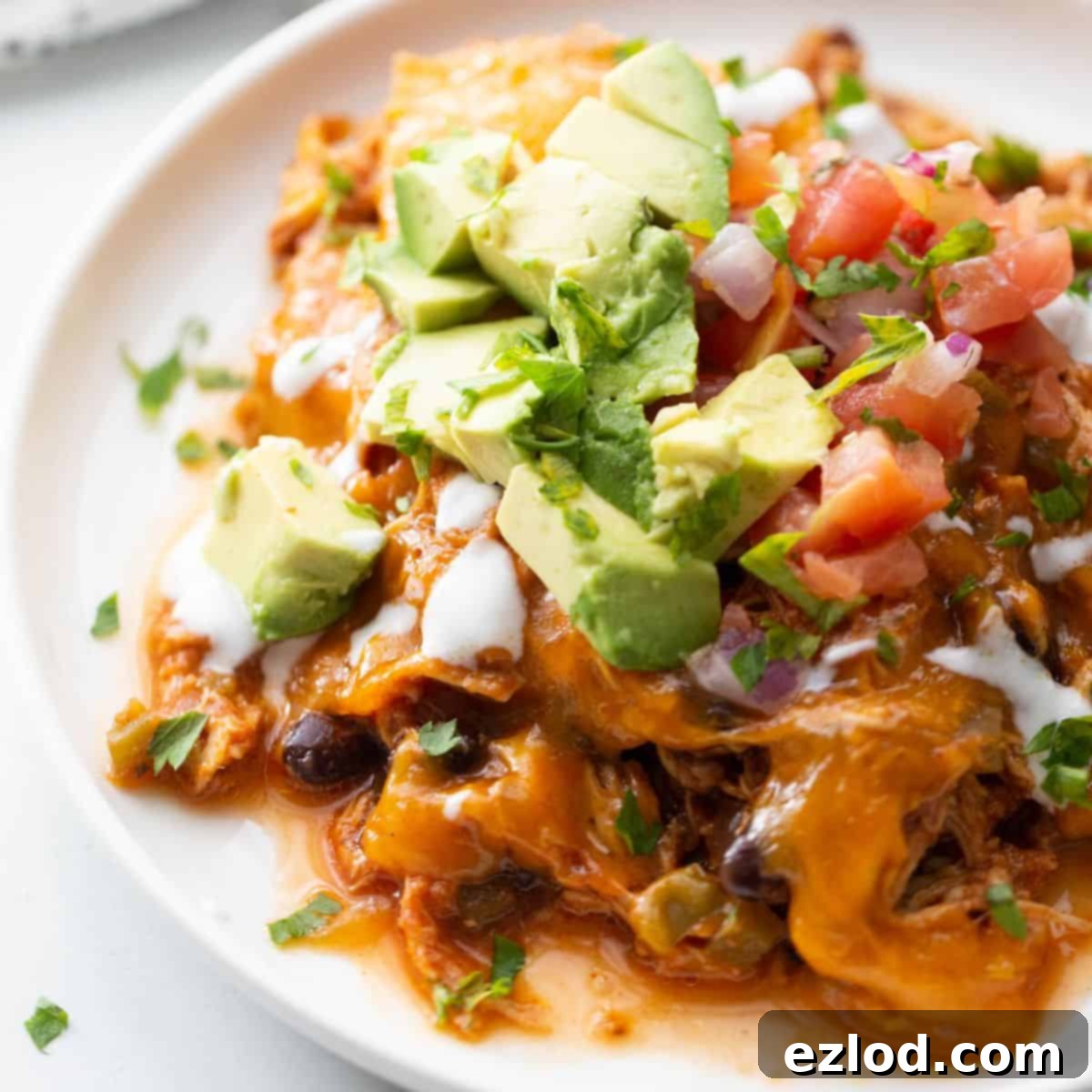 Plate of crock pot chicken enchilada casserole made in the crock pot.