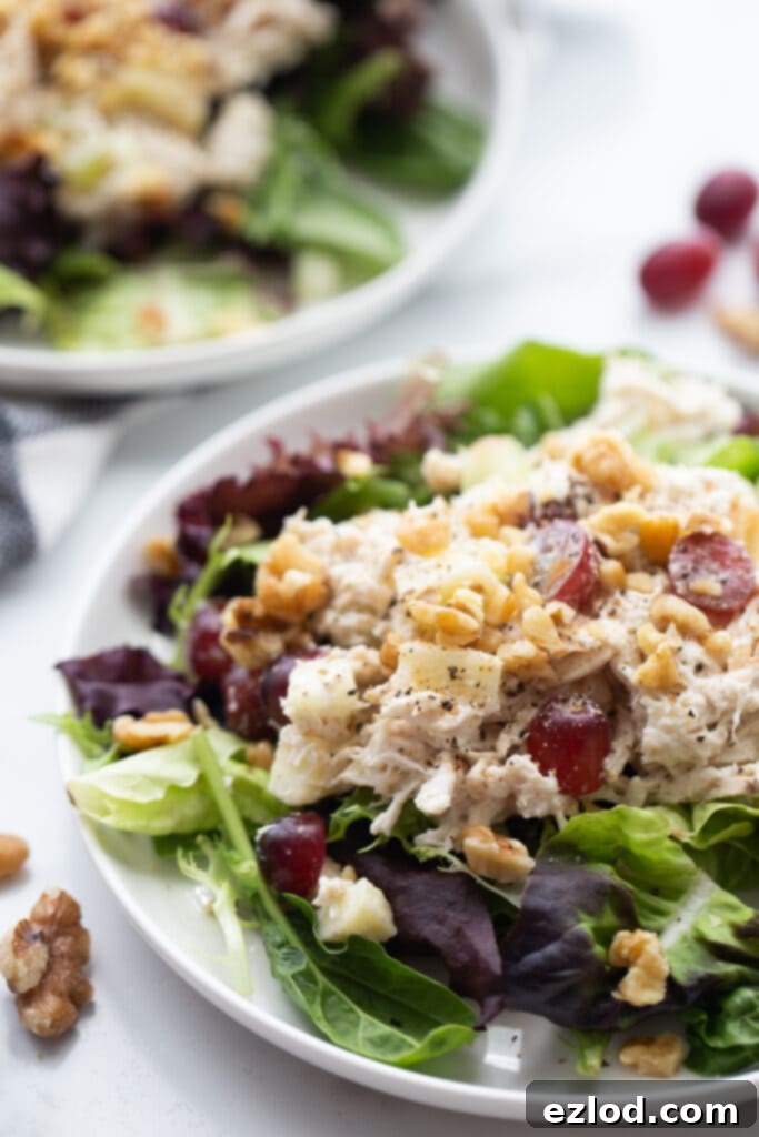 Chicken salad with grapes over greens, on a white plate