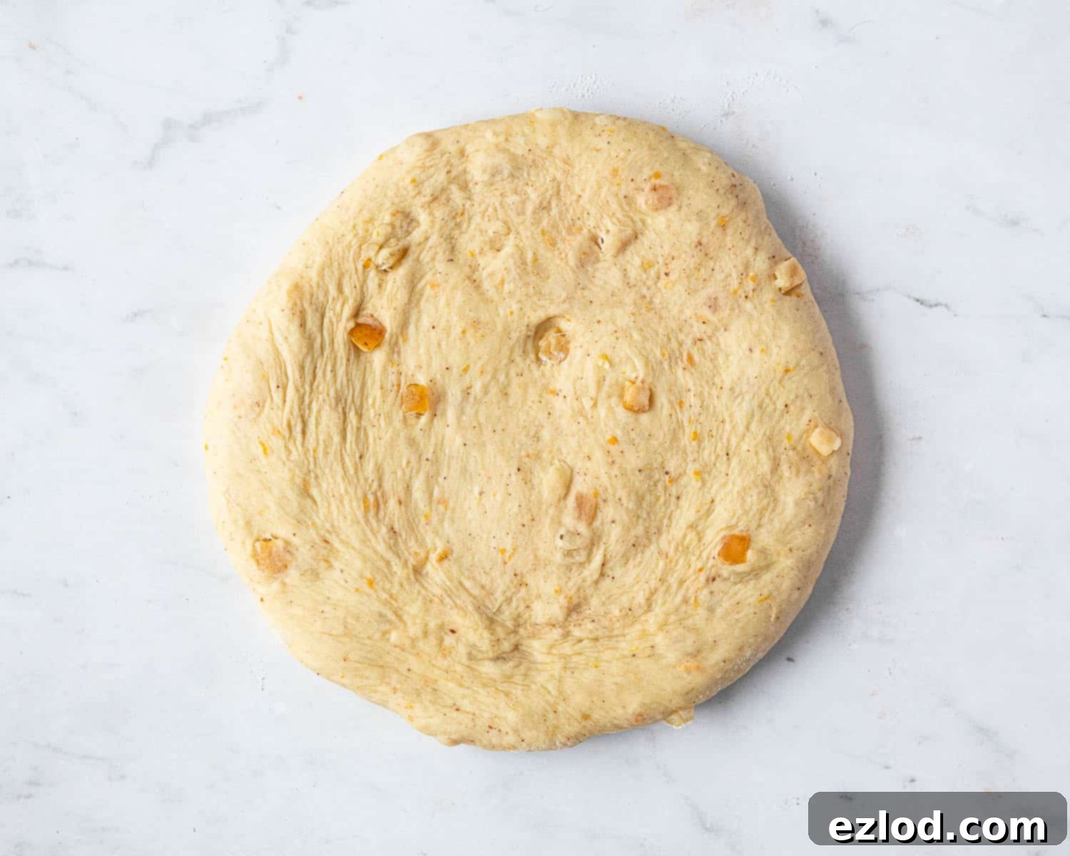 Step 7, the dough flattened into a disc.