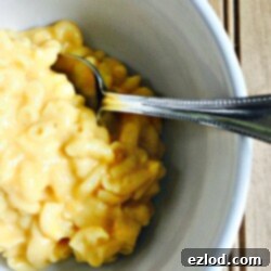 A top-down view of the irresistible Instant Pot Mac and Cheese recipe, a healthy and creamy comfort food.