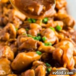 Tender pieces of chicken smothered in a homemade bourbon sauce and garnished with green onions.