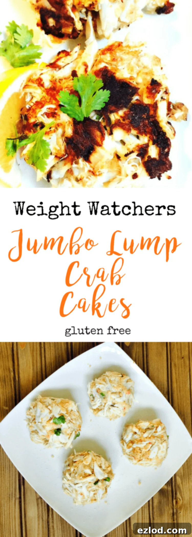 Pin-friendly image for Jumbo Lump Crab Cakes recipe.