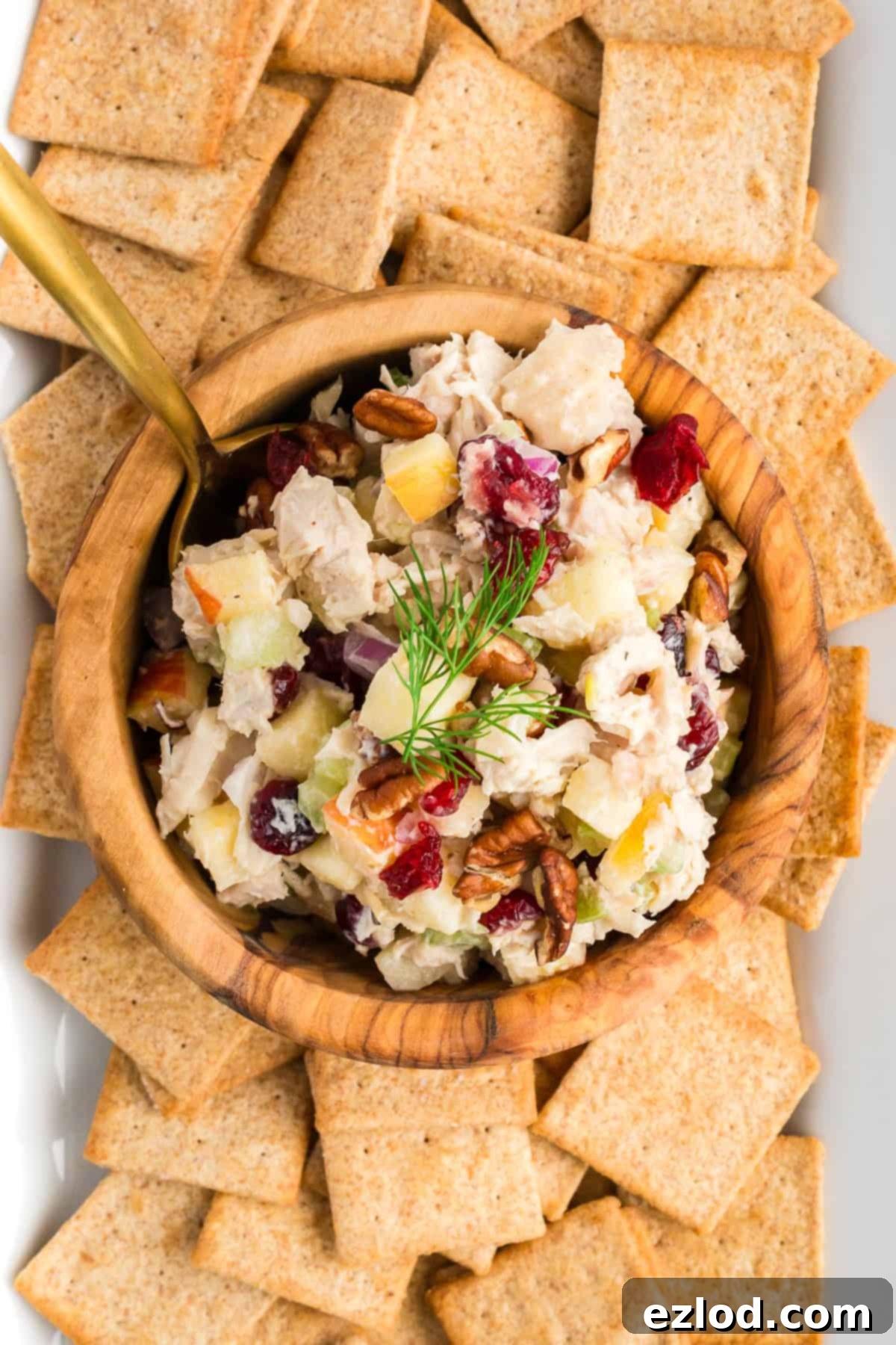 An overhead shot showcasing the freshly made leftover turkey salad alongside a stack of whole grain crackers, ready for serving or a light snack.
