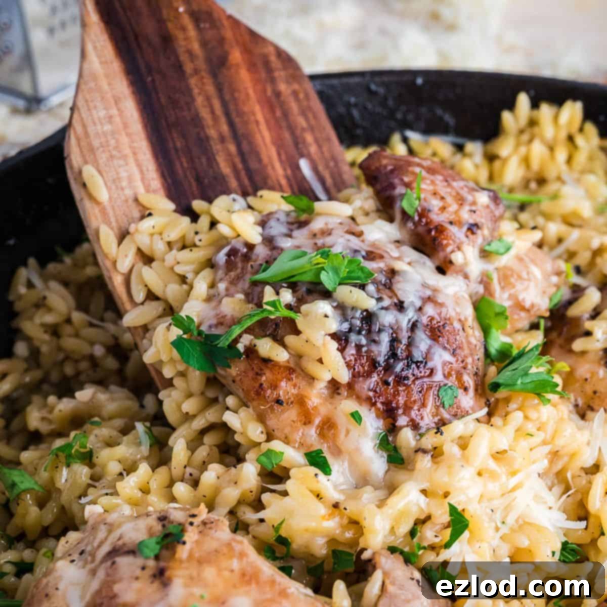Your Go To One Pan Chicken Orzo 2 Chicken Orzo in a skillet with a wooden spoon inside, ready to be served.