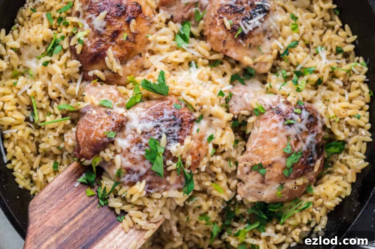 Your Go To One Pan Chicken Orzo 8 A piece of chicken thigh on a wooden spatula held over the pan of chicken and orzo, showing the texture of the dish.