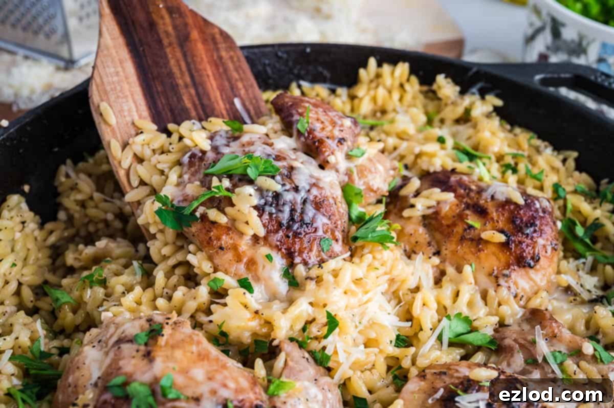Your Go To One Pan Chicken Orzo 9 Finished one pan chicken and orzo with a wooden spoon in a skillet, ready to be enjoyed.