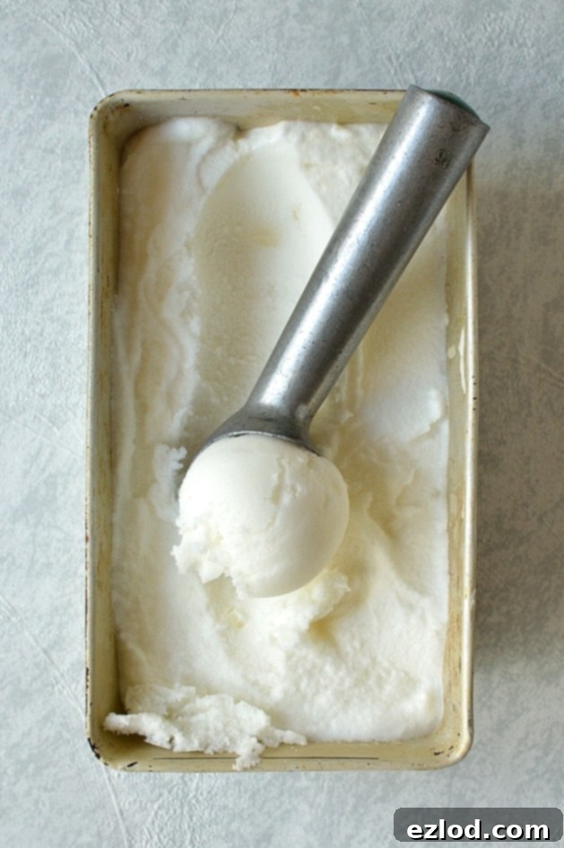 Gin and bitter lemon sorbet, a refreshing grown-up treat with a hint of citrus