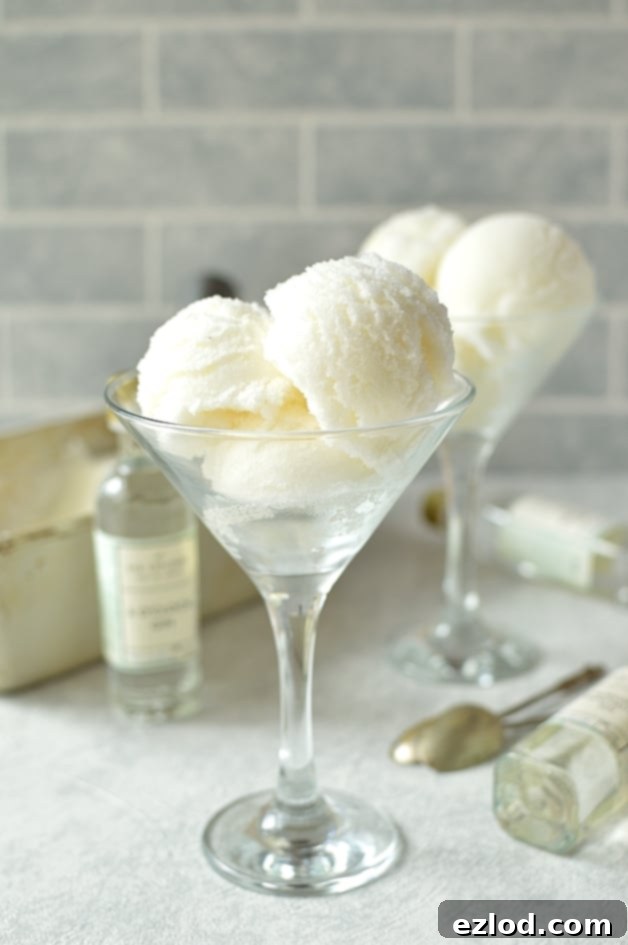 Close-up of Gin and Bitter Lemon Sorbet, garnished with lemon zest