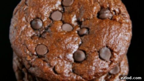 Flourless Chocolate Zucchini Muffins from Running with Spoons