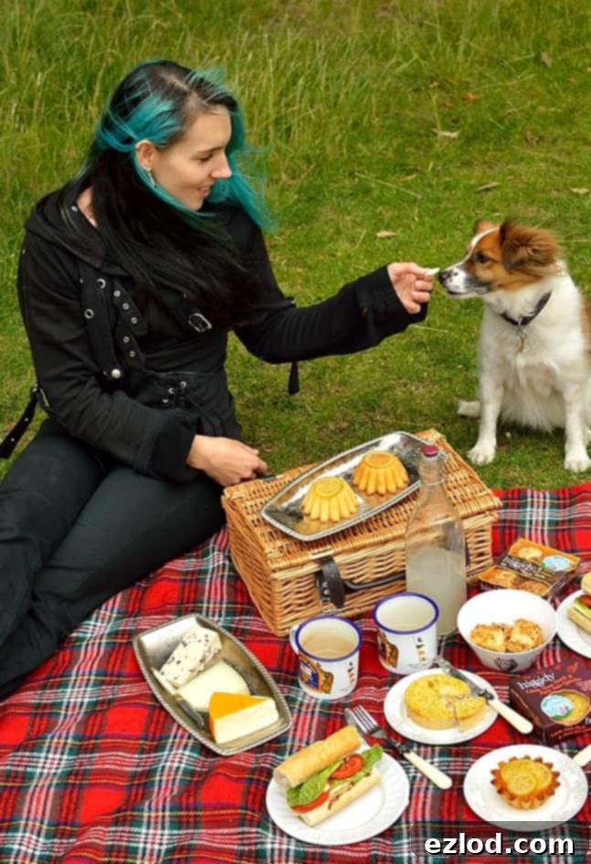 Ringo the dog enjoying a piece of cheese from the picnic spread.