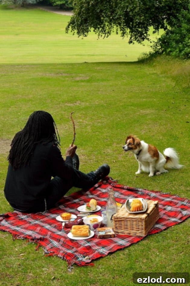 Ringo the dog playing fetch with a stick at the picnic.