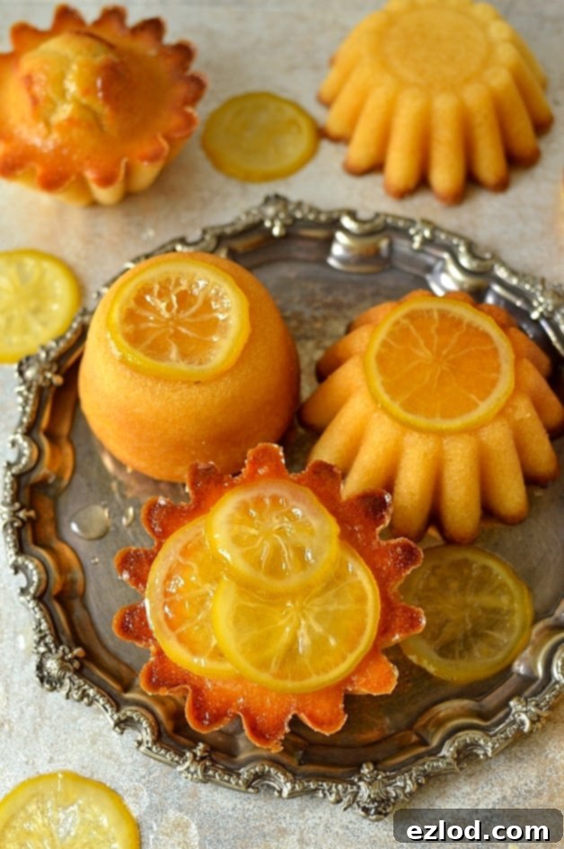 Mini syrupy lemon, olive oil and semolina cakes with candied lemon slices