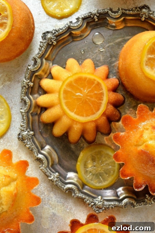 Little syrup coated lemon, olive oil and semolina cakes with candied lemon slices
