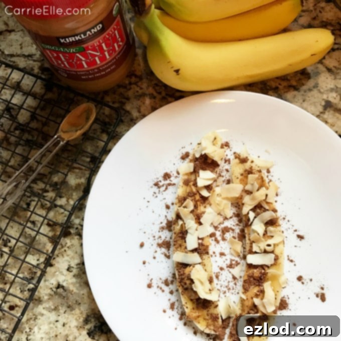 Shift Shop Healthy Snack Recipes - Smart Bites for Energy and Satisfaction
