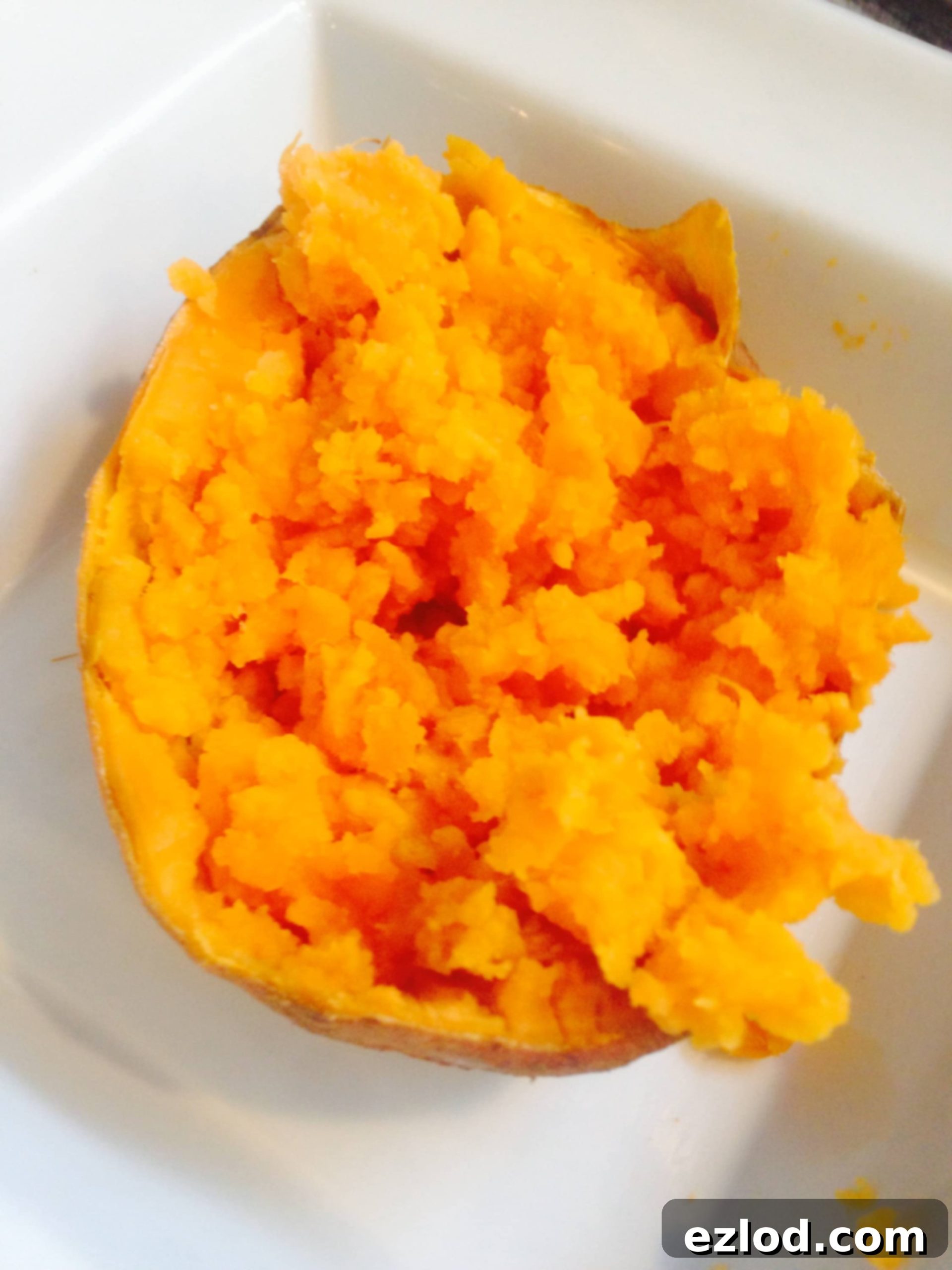 Two plates of Sloppy Joe Stuffed Sweet Potatoes, one topped with cheese, the other plain, demonstrating serving options