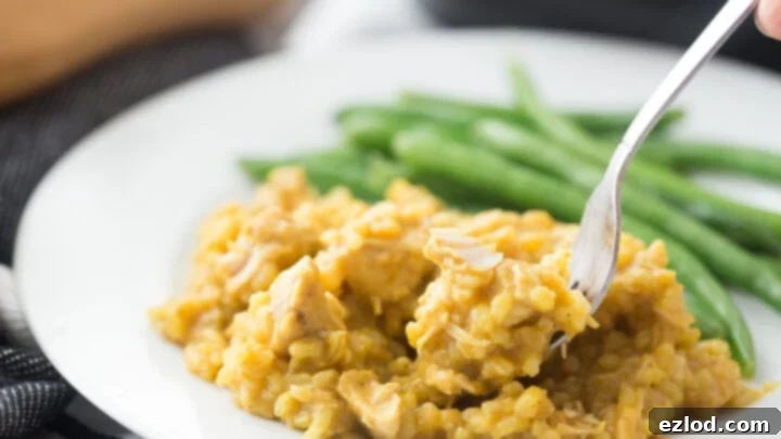 Instant Pot Chicken Curry and Rice