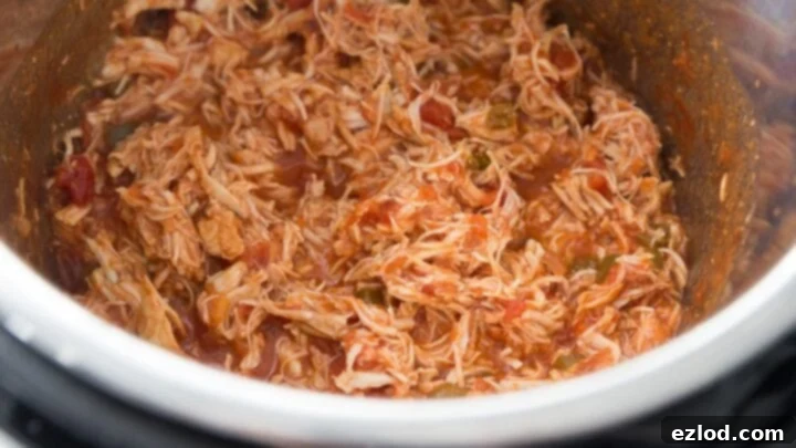 Salsa Lime Chicken