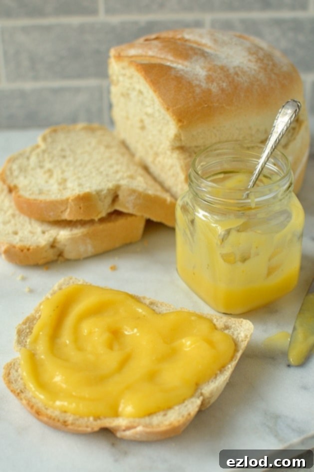 deliciously-sharp-lemon-and-lime-fruit-curd