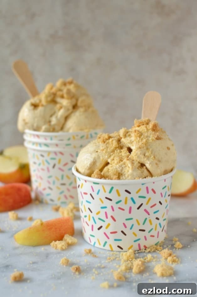 Serving of Delicious Apple Crumble Ice Cream with Extra Crumble