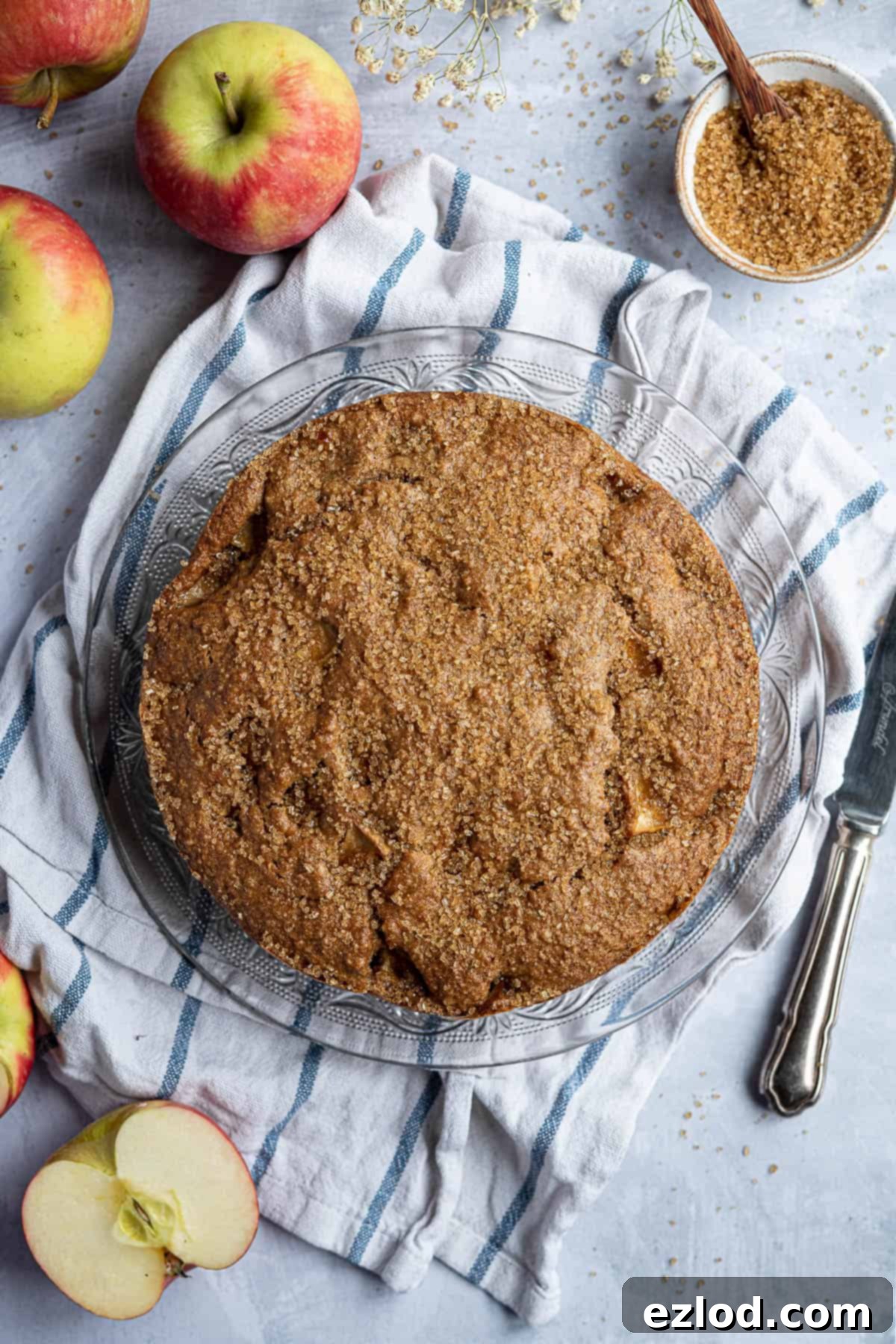 Simple wholemeal apple cake on a blue and white cloth with fresh apples and a bowl of demerara sugar, ready to be baked.