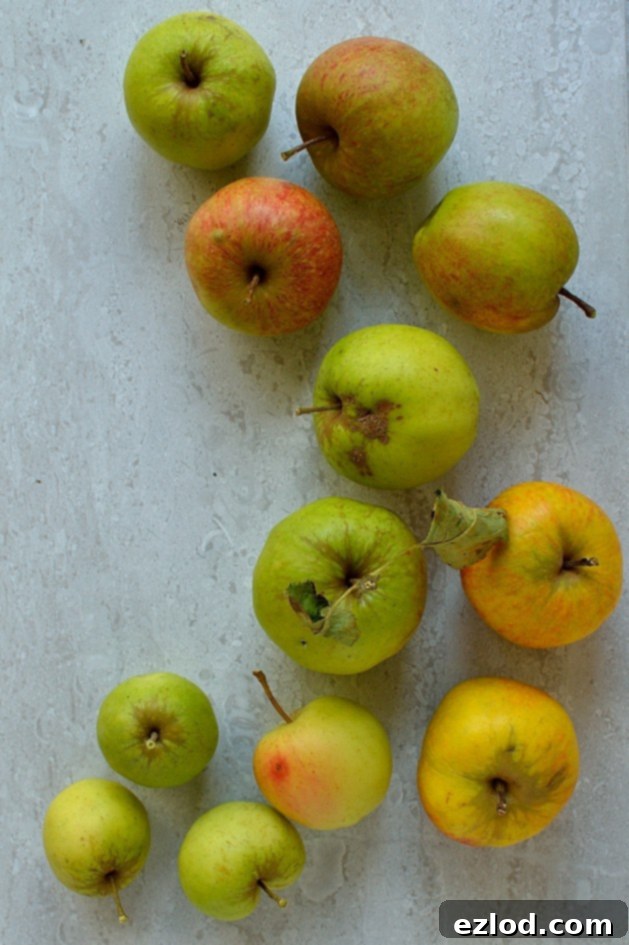 Assortment of apples ready for making mini pies
