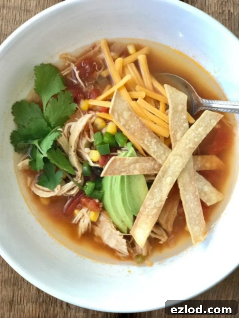 Overhead photo of chicken tortilla soup topped with shredded cheddar, avocado, tortilla strips, and cilantro.