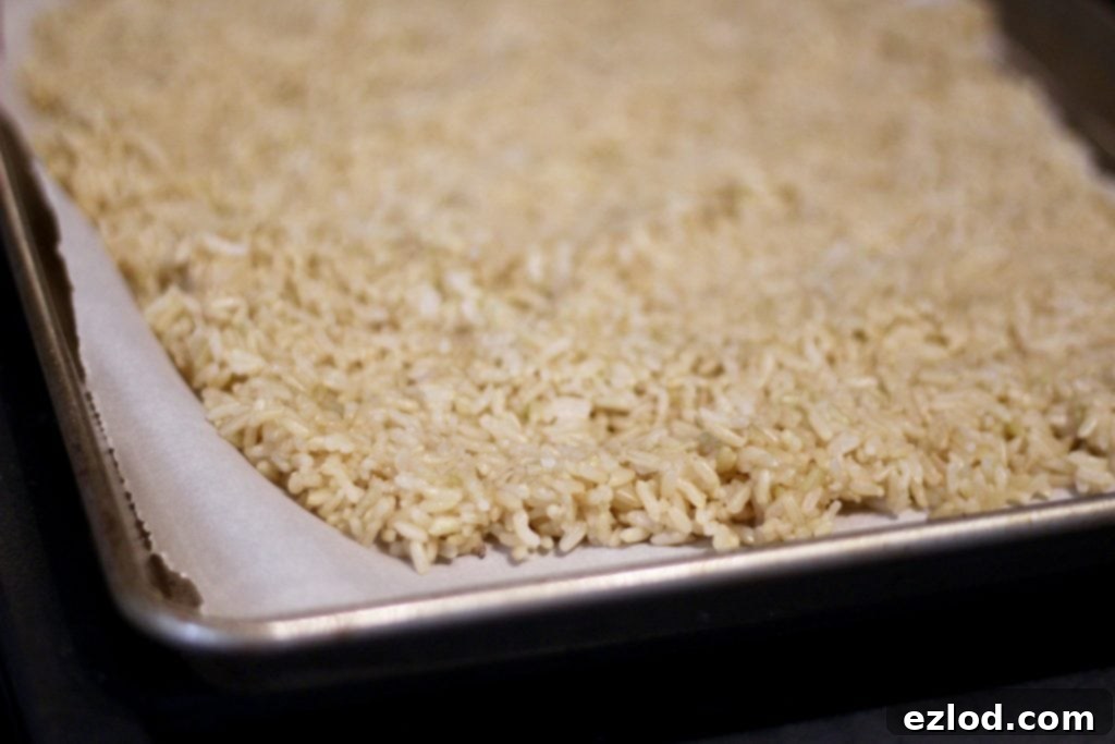 Close up photo of cooked brown rice on a parchment lined baking sheet.