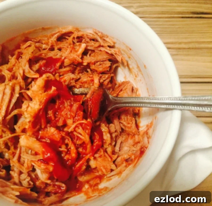21 Day Fix Slow Cooker Pulled Pork