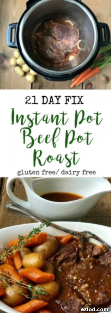 A serving of Instant Pot Beef Pot Roast with vegetables in a bowl