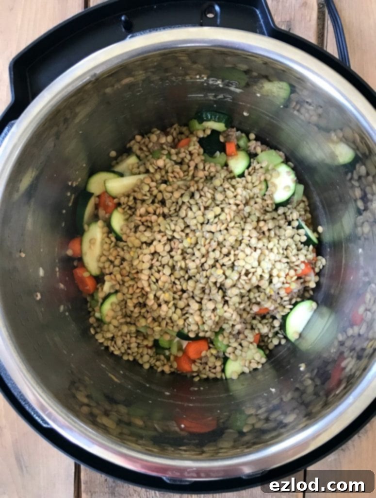 Instant Pot Lentil Soup with plenty of healthy vegetables