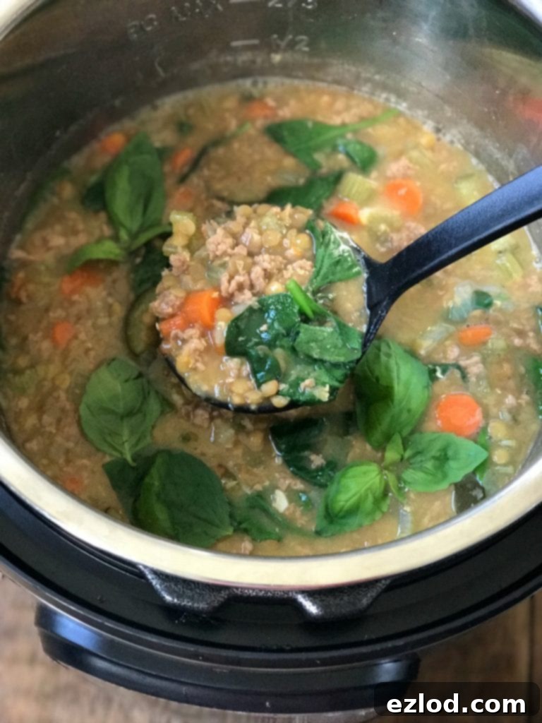 Instant Pot Lentil Soup Garnished with Fresh Basil Leaves