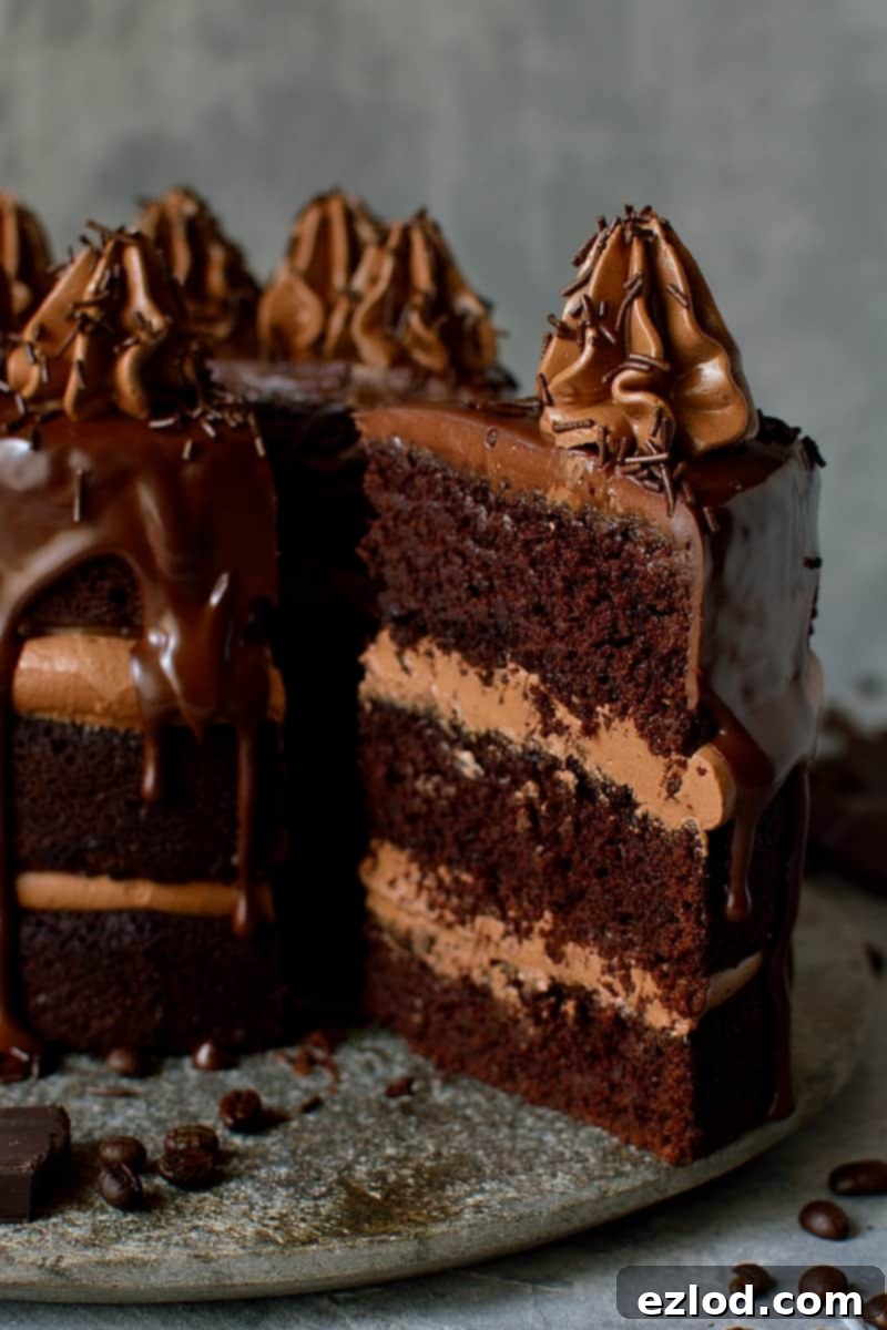 Top view of Chocolate Coffee Cardamom Layer Cake with piping and sprinkles