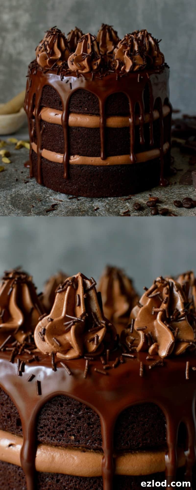 Close-up of a slice of Chocolate Coffee Cardamom Cake showing layers and frosting