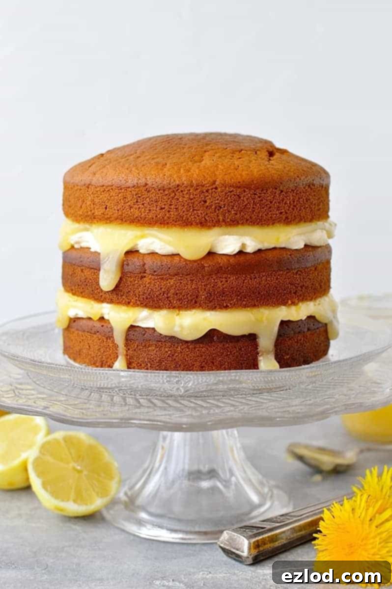 Vegan lemon curd layer cake - easy vegan lemon cake with vegan lemon curd and vegan lemon buttercream.