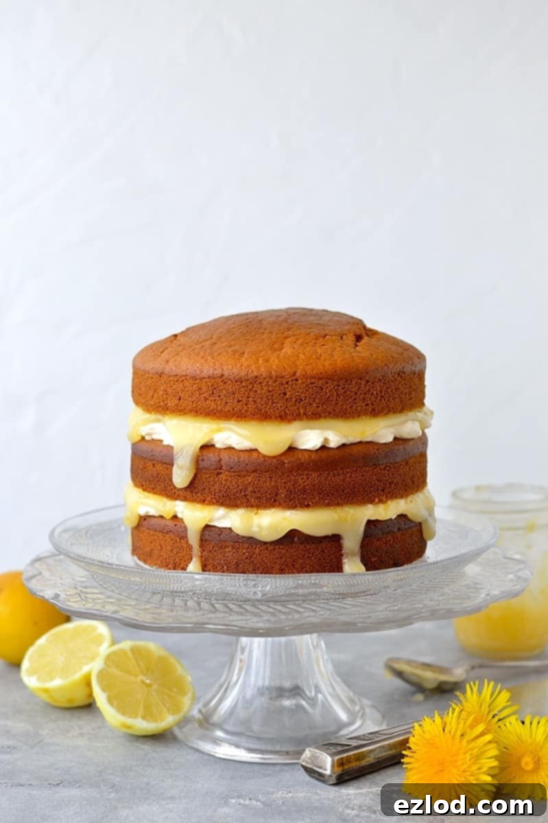Vegan lemon curd layer cake being assembled, showing a layer of cake topped with buttercream and lemon curd.