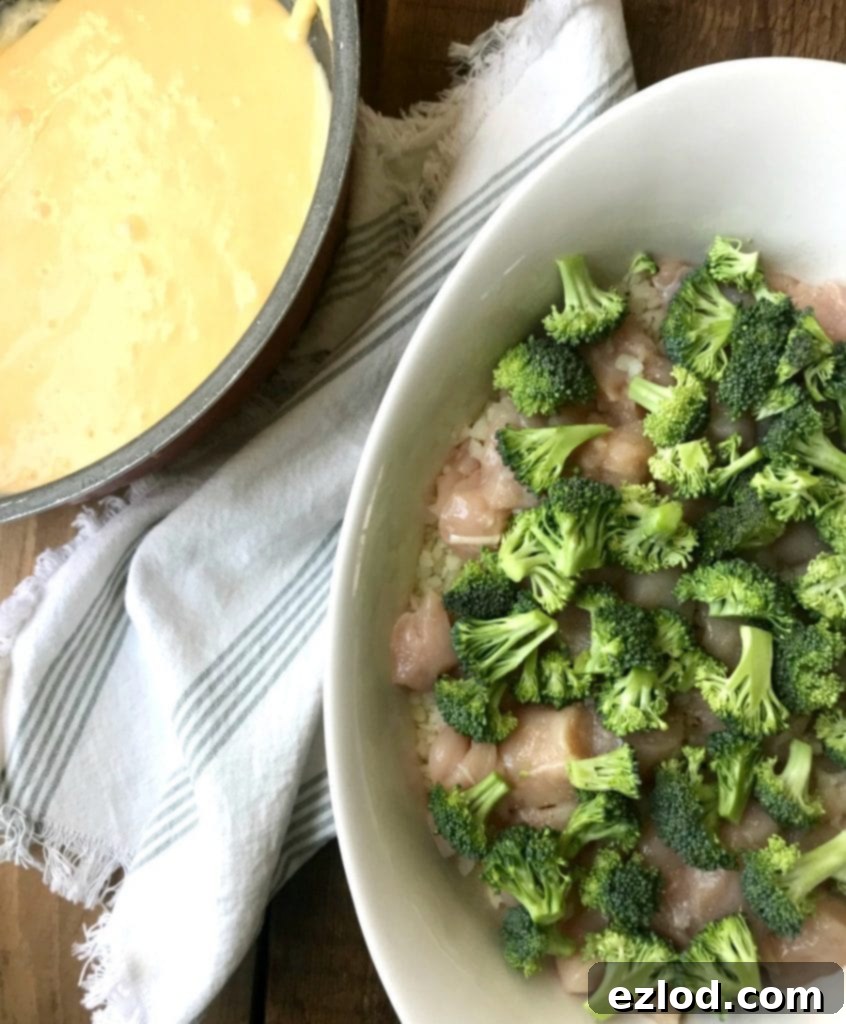 Pan of cheese sauce next to a casserole dish of chicken and broccoli 
