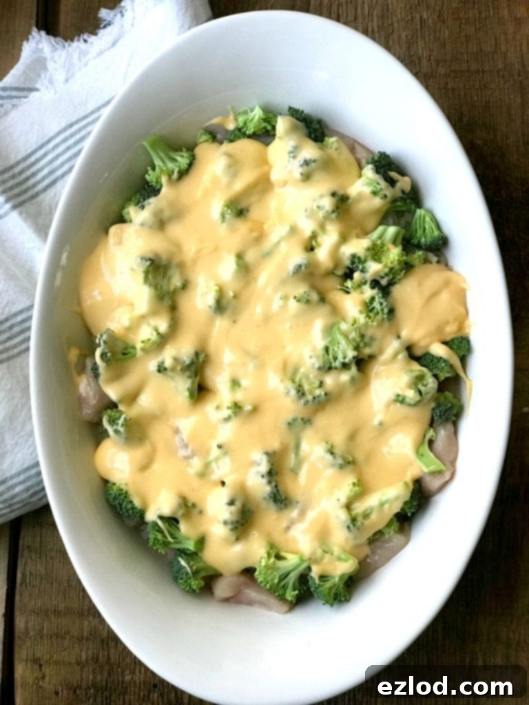 Unbaked cheesy chicken and broccoli casserole, ready for the oven