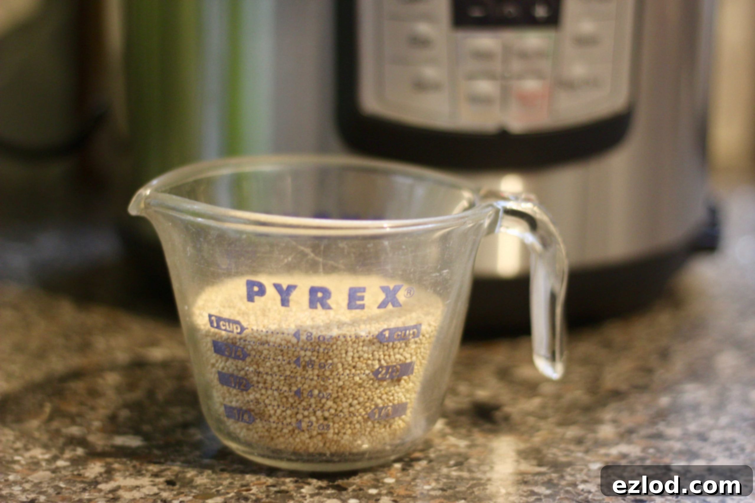 Adding rinsed quinoa and water to an Instant Pot for pressure cooking.