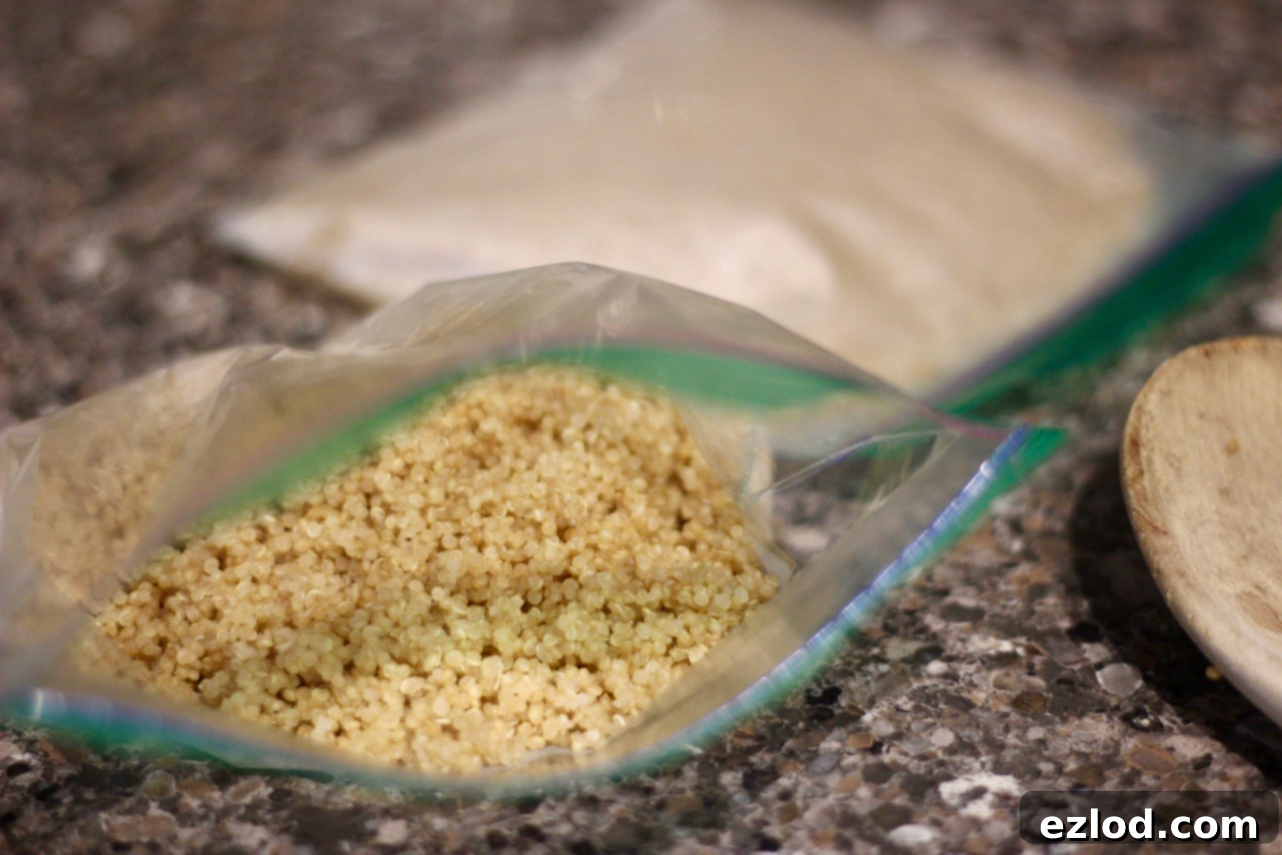 Portioning cooled Instant Pot quinoa into Souper Cubes for freezing.