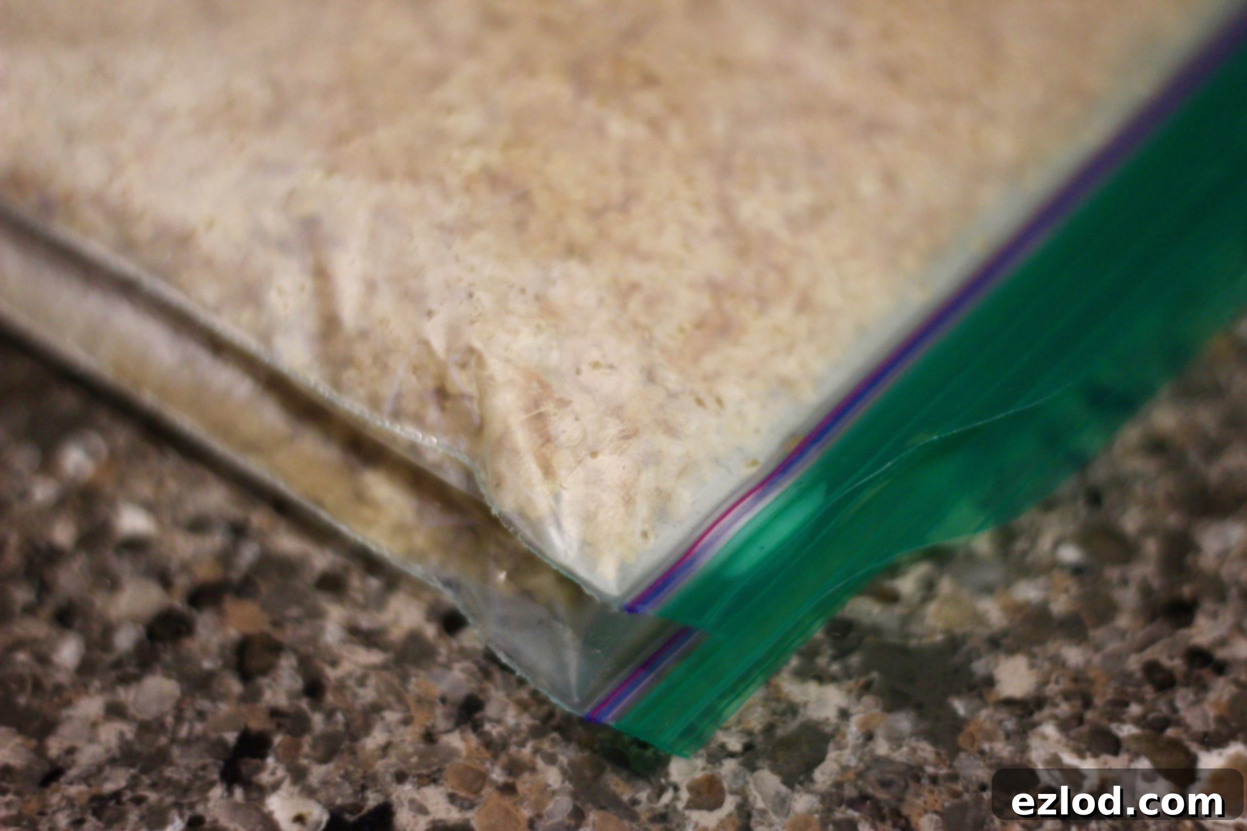Frozen individual portions of quinoa stored for convenient meal prep.