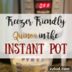 A bowl of fluffy, cooked quinoa prepared in an Instant Pot, ready for freezing.