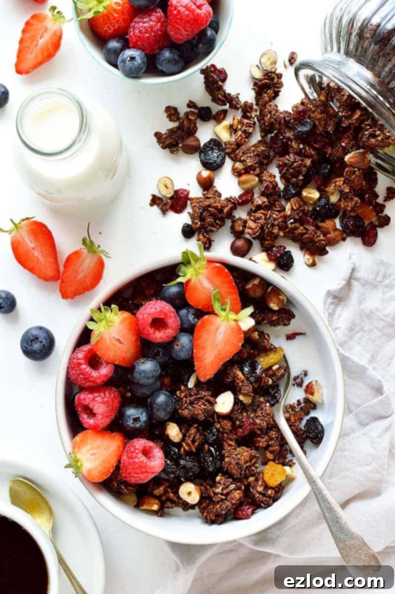Delicious chocolate berry granola in a bowl, a perfect healthy breakfast option