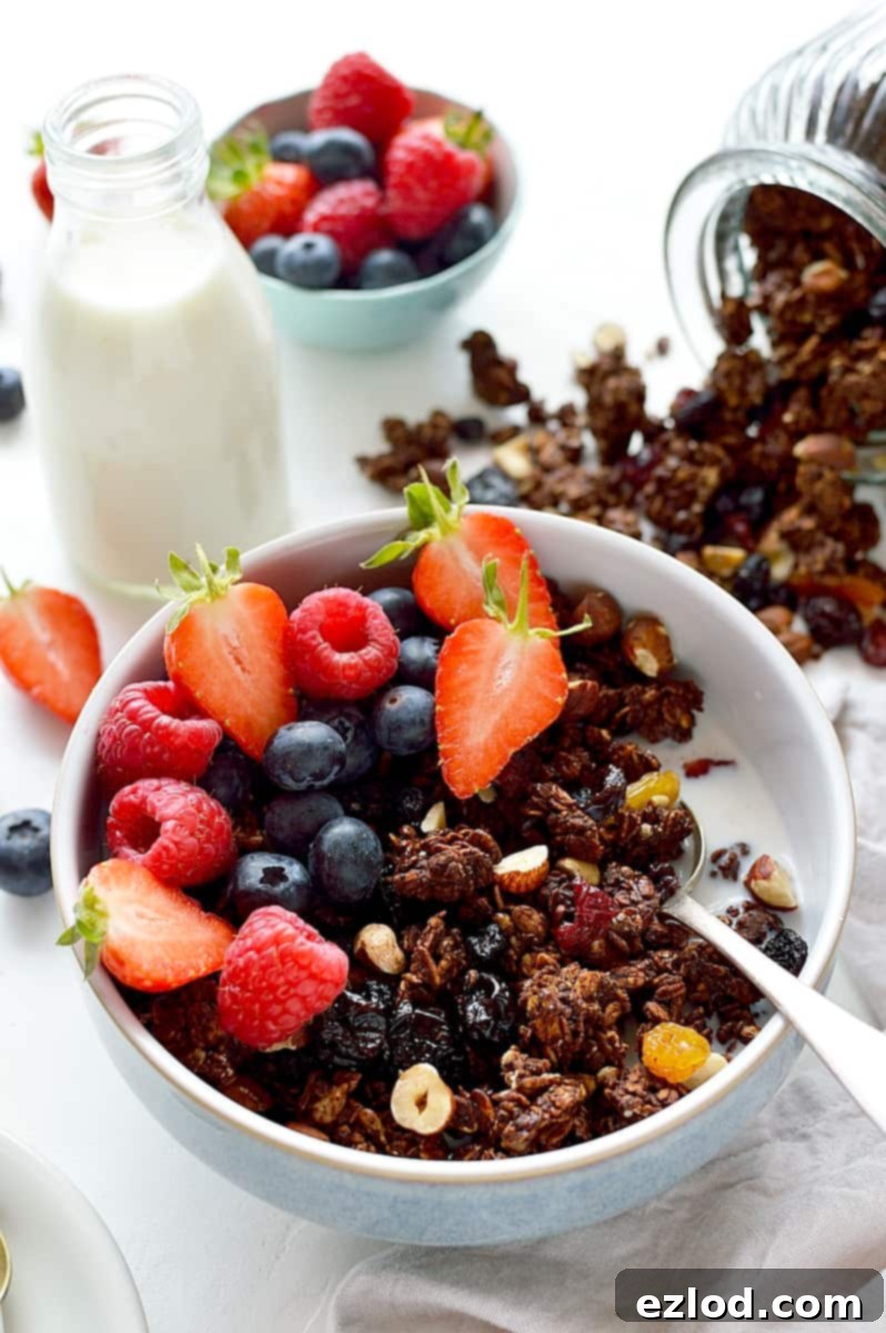 Close-up of crunchy chocolate berry granola with dried fruits and nuts