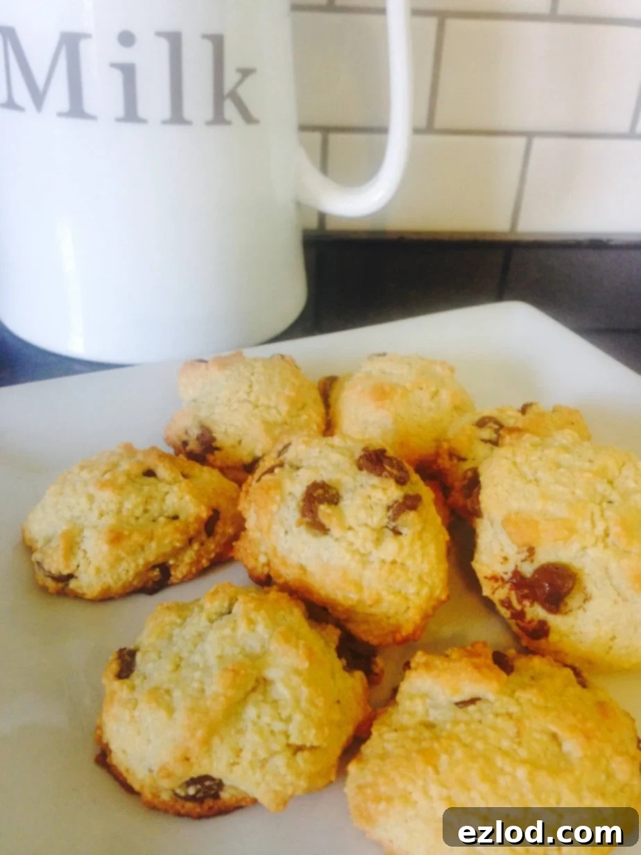 FIXATE Gluten Free Chocolate Chip Cookies - A 21 Day Fix approved treat recipe | ConfessionsOfAFitFoodie.com