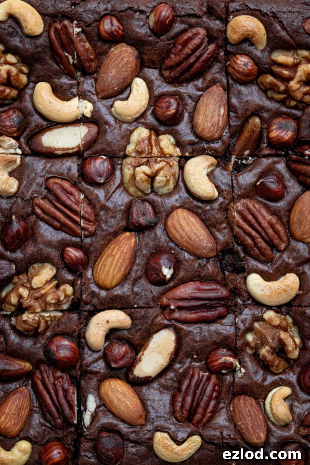 Boozy Vegan Nut Brownie Bliss 11 Close up shot of the glossy, textured top of the nutty rum brownies.
