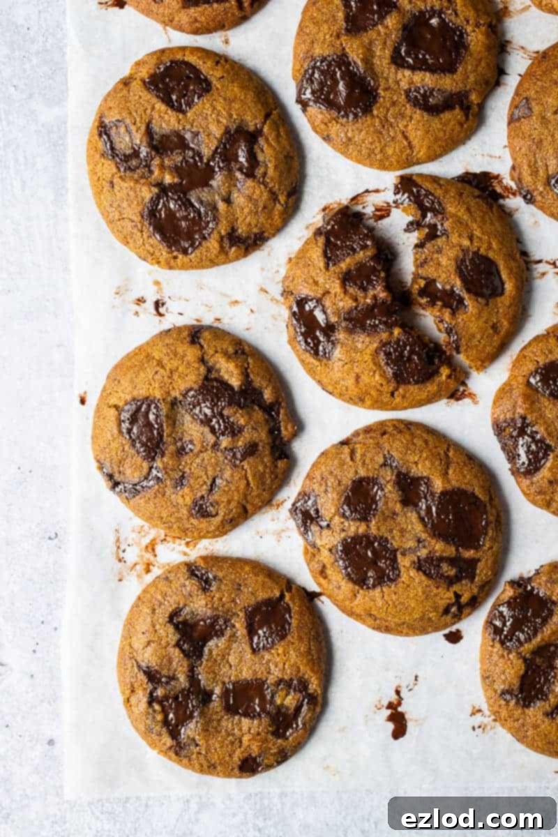 A stunning plate of vegan pumpkin chocolate chip cookies on a baking sheet, ready to be enjoyed. Each cookie features golden-brown edges, a soft pumpkin-spiced interior, and generous chocolate chips, set against a subtle grey backdrop.