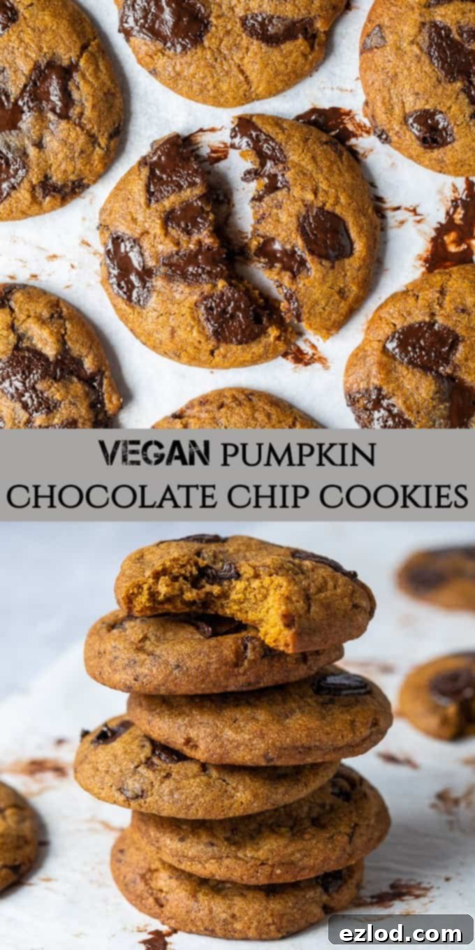 A beautifully arranged vertical image showcasing vegan pumpkin chocolate chip cookies, perfect for Pinterest sharing. The cookies are golden-brown with generous chocolate chips, highlighting their appealing texture and autumnal charm, set against a dark background.